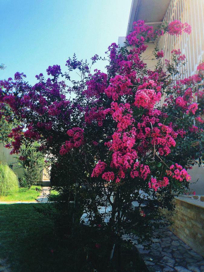 Vila Jovana Сутоморе Экстерьер фото